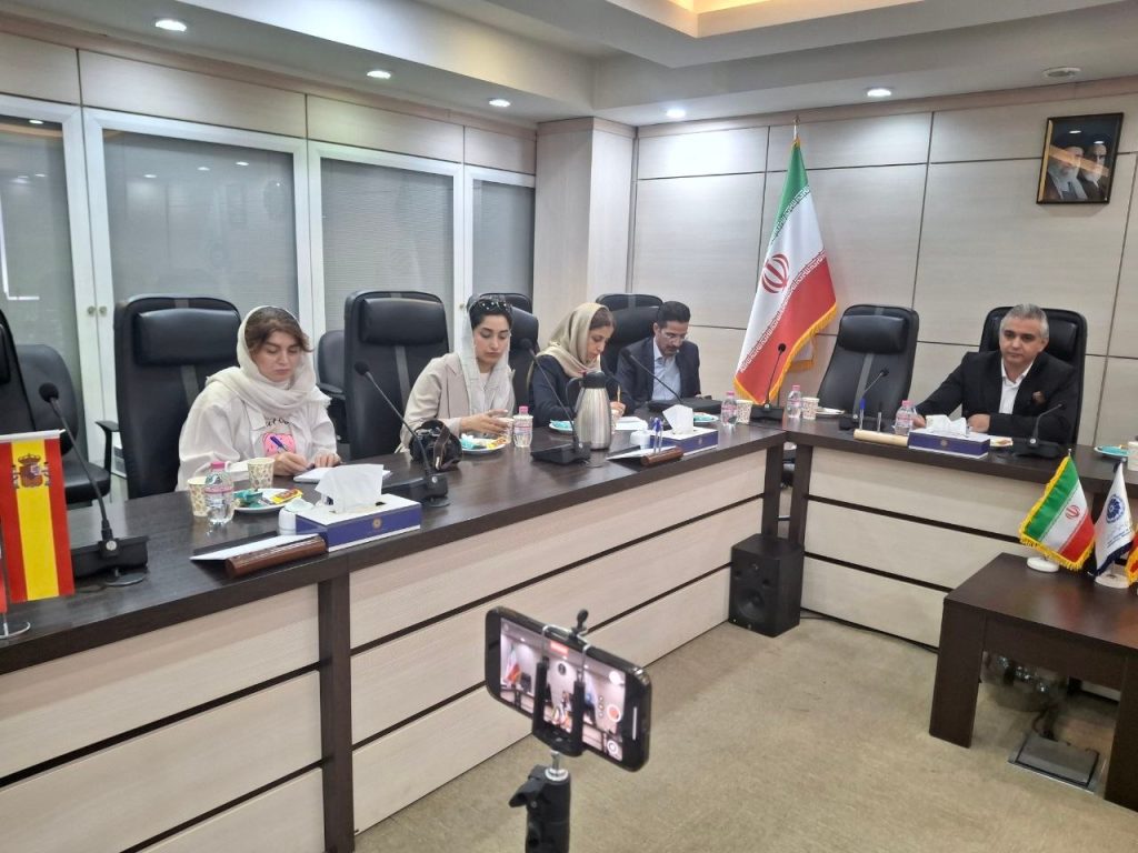 پنل نشست تحول دیجیتال و هوش مصنوعی اتاق مشترک بازرگانی ایران و اسپانیا