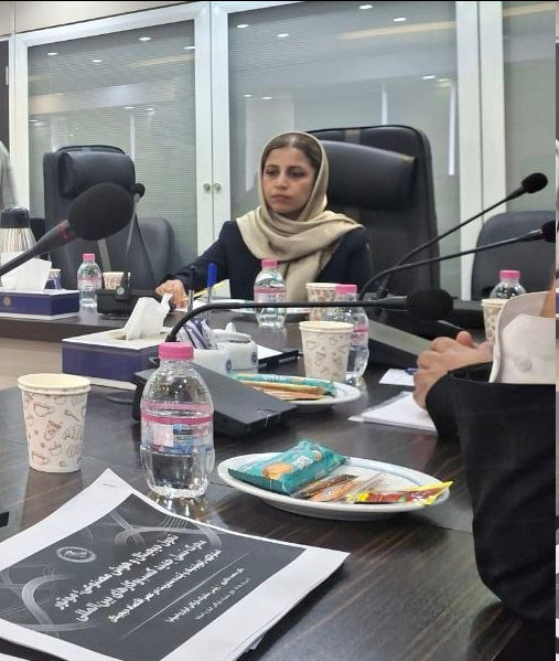 دیدگاههای نوآوری و همکاری بینالمللی در نشست اتاق مشترک